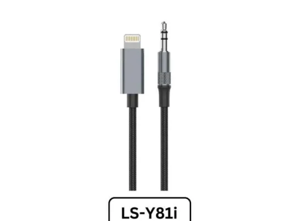 LDNIO LS-Y81C / LS-Y81I Audio AUX Cable (Type-C & Lightning to 3.5mm) – HiFi Sound